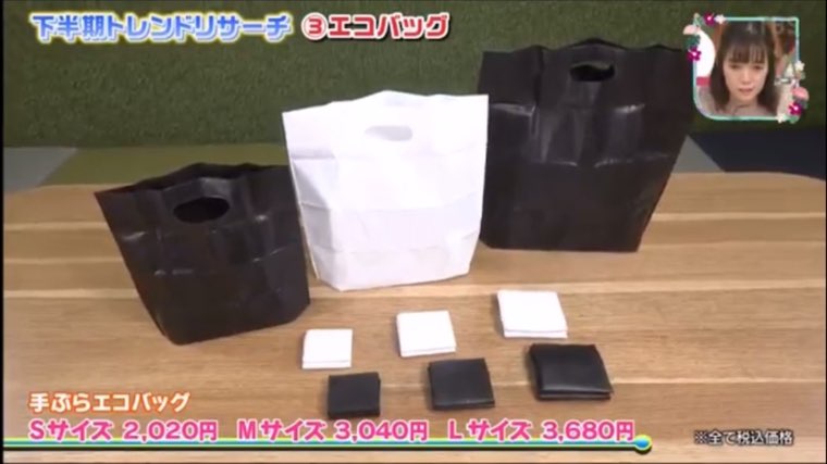 王様のブランチで手ぶらエコバッグが紹介された放送シーン