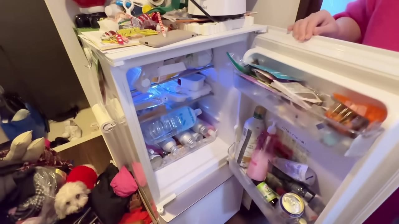 冷蔵庫の中もパンパン